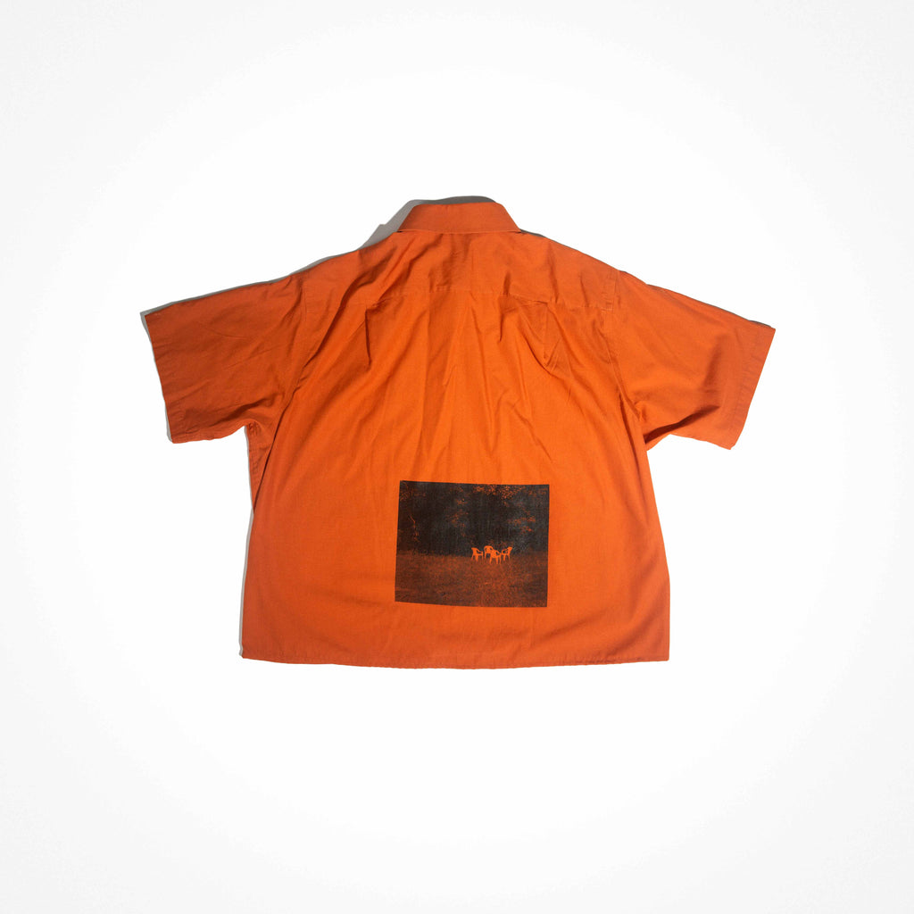 Collection of Photographs