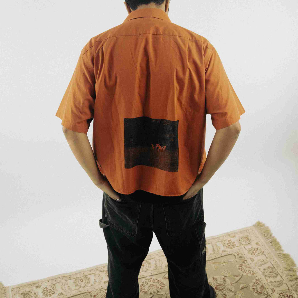 Collection of Photographs